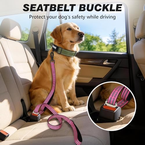 Double Handle Dog Leash with Poop Bag Holder and Car Seat Belt Buckle - Image 4