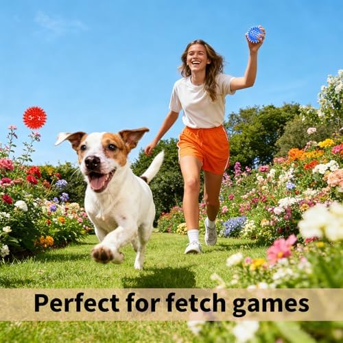 6 Pack Squeaky Spiky Dog Balls, Puppy Chew Toys for Teething, Small - Image 5
