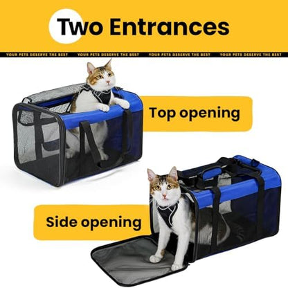 Conlun Cat Carrier Bag,Soft-Sided Pet Carriers for Dogs with 4-Sided Mesh,Airline Approved Cat Transport Carrier for Small&Medium Cats Kitten Puppy Up to 15LB,Collapsible Cat Travel Carrier-M,Blue - Image 3