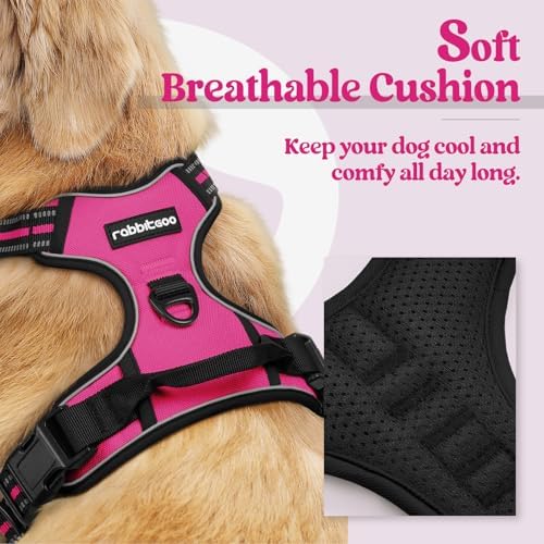 rabbitgoo Dog Harness, No Pull Medium Sized with 2 Leash Clips, Pet Vest - Image 2