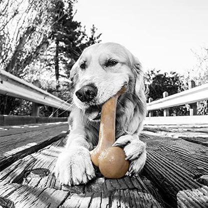 Pet Qwerks Dinosaur BarkBone - Wood Dog Bone for Moderate Chewers - Peanut Butter Flavor - 9.75" - Image 3