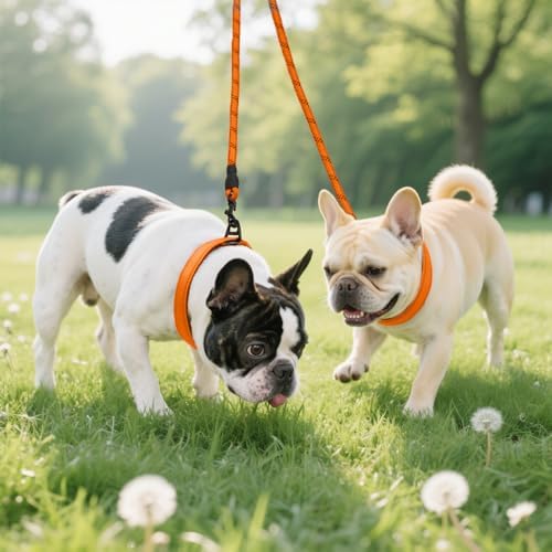 Taglory Double Dog Leash Coupler for Two Dogs, 1/3" Lightweight Dual Leash Extension for Small and Medium Dogs, No Tangle 360° Swivel, Reflective Rope, 30 Inch, Orange - Image 6