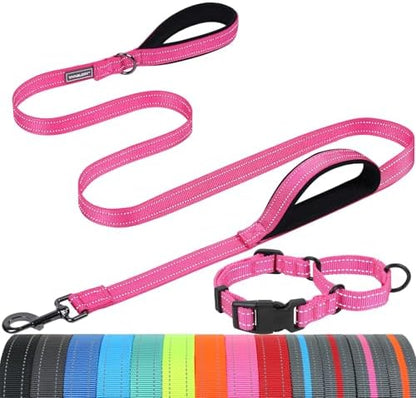 VIVAGLORY Double Handle Dog Leash Twingrip, 5ft x 1in, L, Pink by VIVAGLORY