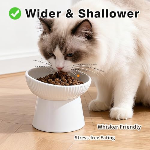 Elevated Cat Food Bowl, Ceramic Raised and Tilted Water Bowl, Whisker Fatigue Cat Bowls for Indoor Cats, Anti Vomiting and Protect Spines Pet Feeding Dishes for Kittens Small Dog, Heavy Non-Slip Base - Image 3