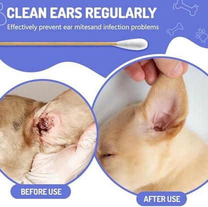 100PCS Large Cotton Swabs in Storage Box, 6 Inch Dog Ear Swabs - Image 2
