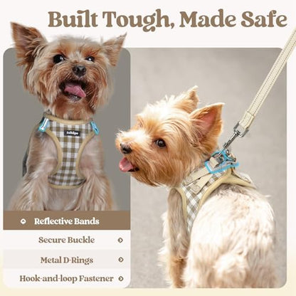 rabbitgoo Dog Harness Medium Sized and Leash Set, Step-in Puppy Pet Vest - Image 5