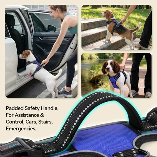 PHOEPET No Pull Dog Harnesses for Small Puppies Reflective Adjustable Front Clip Vest with 2 Metal Leash Attachment Hooks Soft Handle [Over The Head Design](S, Royal Blue) - Image 4