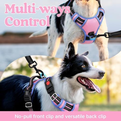 rabbitgoo Dog Harness for Large, No Pull 3 Buckles Easy On & Off - Image 3