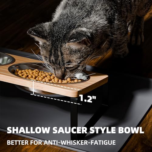 Elevated Whisker Friendly Cat Bowls, 15 Tilted Stand Anti Vomiting Raised Dishes for Food and Water, Stainless Steel Bowls for Cats and Puppy - Image 2