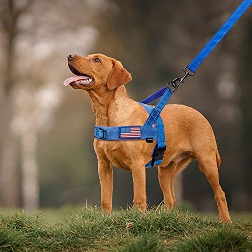Annchwool No Pull Dog Harness with Padded Handle+5 FtLeash,Reflective Strip - Image 6