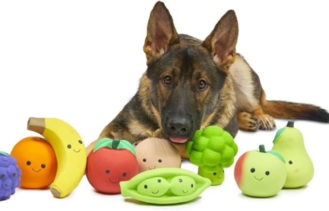 Petface Latex Broccoli Soft Chew Dog Toy, Small