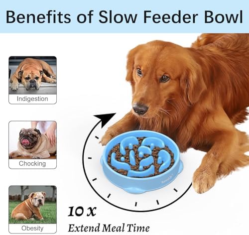 MateeyLife 2-Pack Slow Feeder Dog Bowls, 4 Cups, Dog Puzzle Feeder Bowl - Image 2