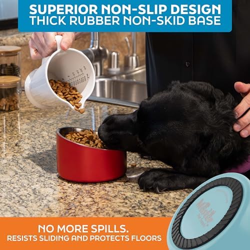Master Pet Supply Stainless Steel Slanted Dog Cat Food Bowl 16 oz Aqua Sky - Image 5