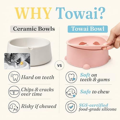 Cat Slow Feeder Bowl, Raised Slow Feeder Cat Bowl for Dry and Wet Food, Elevated Slow Feeder Dog Bowls Small Breed and Puppy, BPA Free Silicone Bowl, Heights Adjustable, Microwave & Dishwasher Safe - Image 4