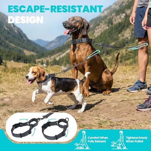 VIVAGLORY Double Handle Dog Leash Twingrip, 5ft x 1in, M2, Grey - Image 2