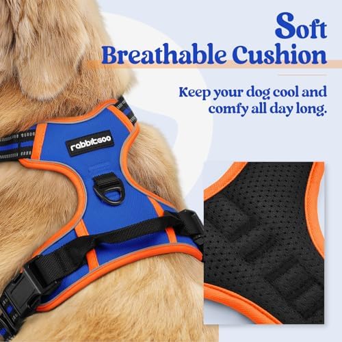 rabbitgoo Dog Harness, No Pull for Large Dogs with 2 Leash Clips, Pet Vest - Image 2