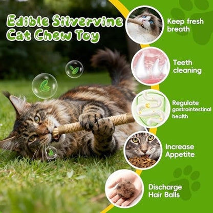 Silvervine Sticks for Cats & Cat Chew Rope Toys for Indoor Cats Dental Care Teeth Cleaning, Kitten & Cat Teething Toys for Health, Cat Chew Stick Suitable for All Breeds of Aggressive Chewers Cat 1 - Image 3