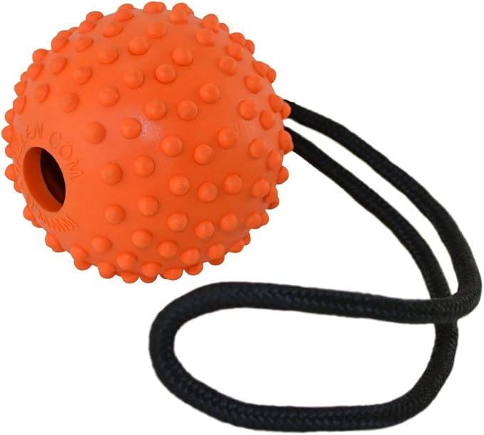 Ray Allen Ball On Rope Toy - Professional Quality Dog Training (Orange w/Loop Handle, 3")