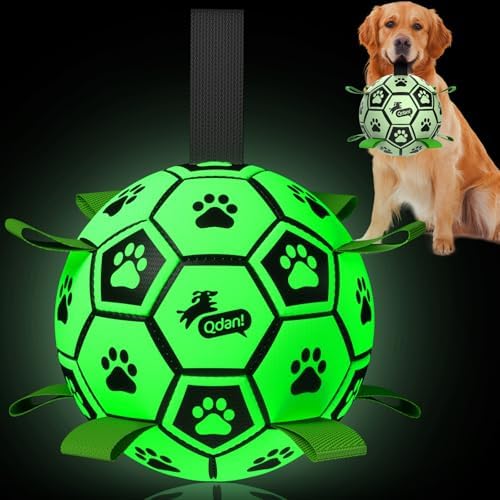 QDAN Glow in The Dark Dog Balls, Soccer Balls for Dogs with Straps, 8 Inch by QDAN