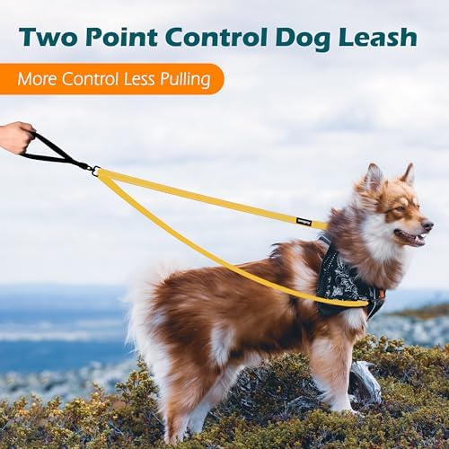 PetBonus Two Point Control Dog Leash, No Tangle Training Walking Leashes - Image 2