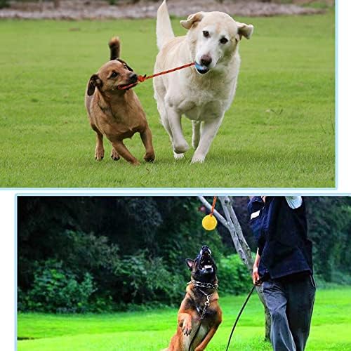 2 Pack Dog Ball, K9 Ball on Rope for Reward, Fetch, Play (6cm) - Image 4