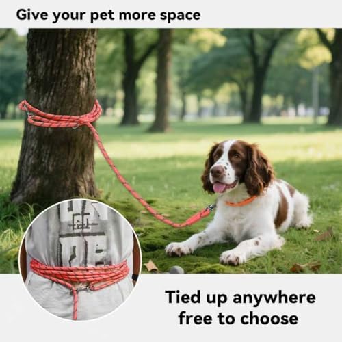 Long Dog Training Leash，Heavy Duty Reflective Rope Lead for Small Medium Large Dogs ，6FT 10FT 15FT 30FT 50FT for Training, Walking, Backyard, Camping - Image 2