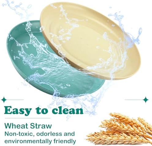 Gerrii 24 Pieces Fatigue Relief Cat Bowl 6 Inch Shallow Cat Food Dish Stray Wet Feeding Bowls Wide and Small Pet Plates for Ferrets Feral Short Legged Kitten Shelter(Assorted Color,Convention) - Image 5