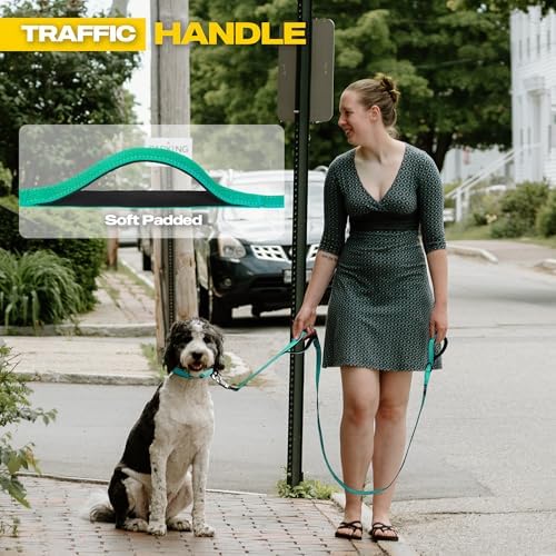 Fida 10 FT Heavy Duty Dog Leash, Dual Padded Handles for Medium Large Dogs - Image 4