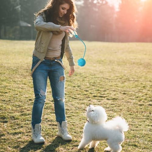 Dog Training Ball on Rope, 2Pcs Dog Rope Toys for Chew Training, Pull Throw and Fetch - Image 5