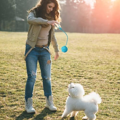 Dog Training Ball on Rope, 2Pcs Dog Rope Toys for Chew Training, Pull Throw and Fetch - Image 5