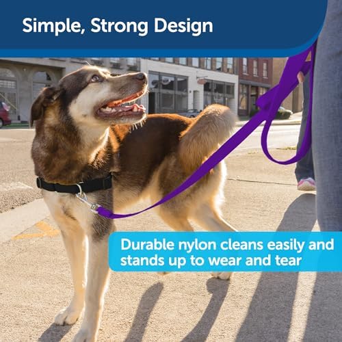 PetSafe Nylon Dog Leash - Strong, Durable, Traditional Style Leash with Easy to Use Bolt Snap - 1 in. x 6 ft., Deep Purple - Image 4