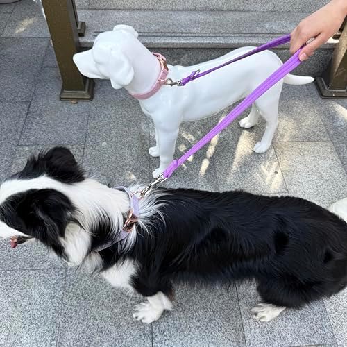 Double Ended Dog Leash,for Obedience Training Easy to Use,Lightweight,Soft for Large and Medium Dogs (Purple, 1M*2.5CM) - Image 6