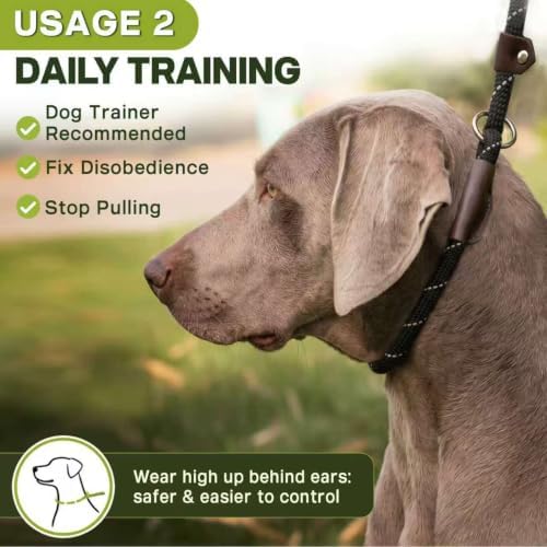 Fida Durable Slip Lead Dog Leash, 6 FT x 3/8" Dog Training Leash, Black - Image 4