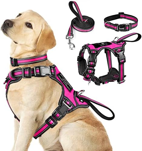WINSEE Pet Harness Collar and Leash Set, All-in-one Reflective Dog Harness No Pull with Adjustable Buckles for Puppies, Small, Medium, Large, and Extra-Large Dogs (Large, Rosy) by WINSEE