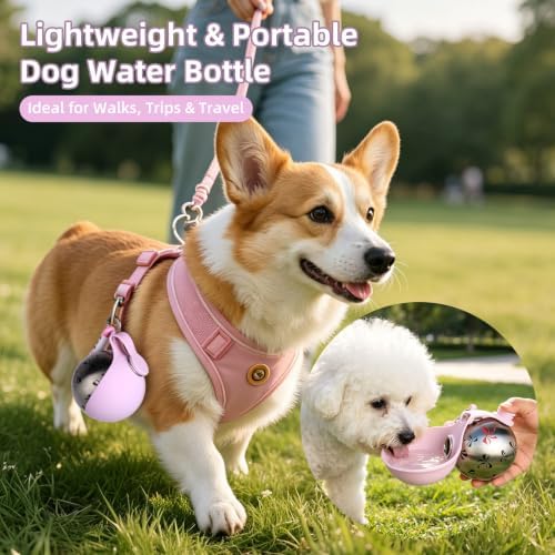 2-in-1 Portable Dog Water Bottle for Small Dogs - Leak-Proof & Compact Dog Travel Water Bottle -Stainless Steel Bottle & Silicone Bowl - Ideal for Walking, Hiking & Travels (10 fl oz, Pink) - Image 2