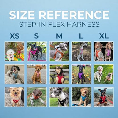 Voyager Step-in Flex Adjustable Dog Harness - Pink, Large - Image 6