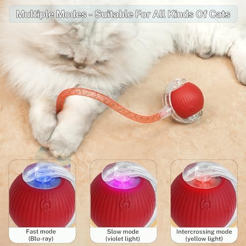 Speedy Tail 3.0 Interactive Toy Ball, 2 Tails for Cats & Dogs - Image 4