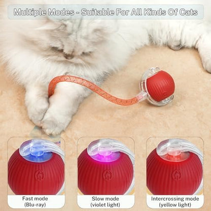 Speedy Tail 3.0 Interactive Toy Ball, 2 Tails for Cats & Dogs - Image 4