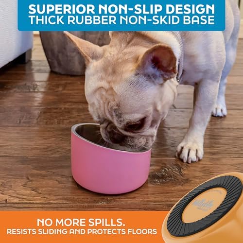 Master Pet Supply Stainless Steel Slanted Dog Cat Food Bowl 8 oz Mango - Image 5