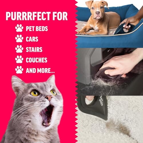 ChomChom Roller Detailer- Scraper for Pet Hair Remover and Lint - Great for CAR - Cat and Dog Hair Remover for Couch, Furniture, Carpet, Clothing and Bedding - Travel Multi-Surface Fur Removal Tool - Image 5