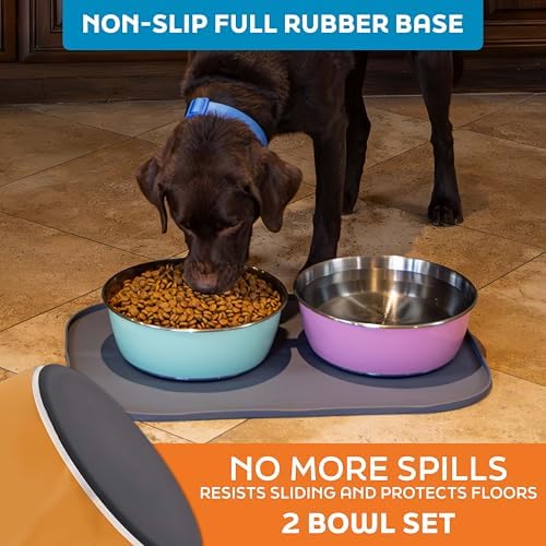 Master Pet Supply Stainless Steel Dog Bowls Set of 2 - Mango Tango, 128 Oz - Image 4