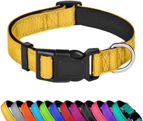 Reflective Dog Collar, Adjustable Soft Neoprene Padded,Yellow,XS by PWOD