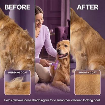 POODLIE Poodle Pet Dog Grooming Rake| Dematting Tool with Stainless Steel Shedding Comb for Pets | 2 Rows of Pins Gently Remove Loose or Tangled Hair from Undercoat | Purple Handle - Image 4