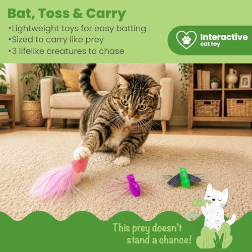 Catstages Squish Prey Cat Toys for Cats & Kittens, Multi-Textured Soft & Squishy for Bat & Carry, Catnip Infused, 2–5" Long, 3-Pack (Squid, Spider, Fly) - Image 2