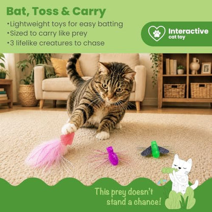 Catstages Squish Prey Cat Toys for Cats & Kittens, Multi-Textured Soft & Squishy for Bat & Carry, Catnip Infused, 2–5" Long, 3-Pack (Squid, Spider, Fly) - Image 2
