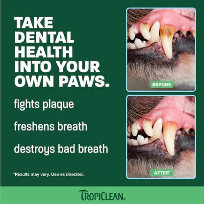 TropiClean Fresh Breath Dog Tooth Brushing Kit, Peanut Butter Flavor - Image 3