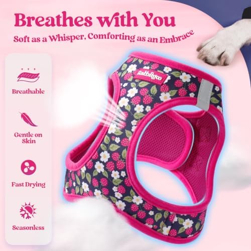 rabbitgoo Dog Harness Small Sized and Leash Set, Step-in Puppy Pet Vest - Image 4