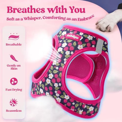 rabbitgoo Dog Harness Small Sized and Leash Set, Step-in Puppy Pet Vest - Image 4