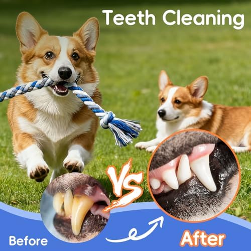 wodoca Dog Rope Toys 4 Pack, Puppy Teething Cotton Knot Chew Rope for Small Medium Dogs, Interactive Tug of War Dog Toys for Boredom, Teeth Cleaning - Image 5