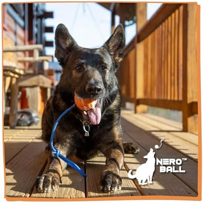Nero Ball Classic The Original K-9 Dog Training Ball on Rope - Fetch, Training, and Reward. - Image 7